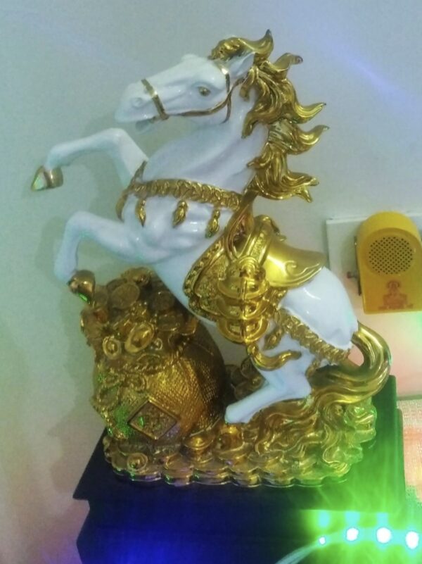 Feng Shui Horse Tarot Priyanka Kapil